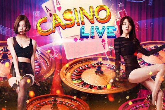 theicexch Live Betting